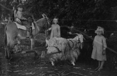 solohorrorIG's tweet photo. La famiglia Sorrenson era immigrata in America dalla Danimarca agli inizi del secolo scorso. Si stabilirono in una fattoria in Missouri. Questa è l’ultima foto dei tre figli più grandi della famiglia. https://t.co/nCcpBsAmqF