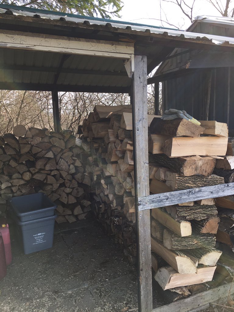 mrs_v_gedsb's tweet photo. Our #dpa for the day! Learning to #splitwood when you can’t lift a sledge hammer &amp; helping stack wood #familytime #teamwork https://t.co/PzCqFdNXZP