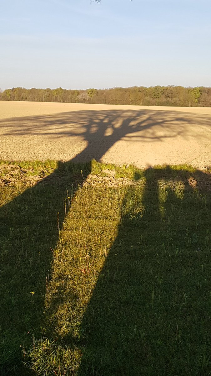 mickaelja44's tweet photo. #tweetombre du jour, reconnaissez vous le grand monsieur à côté de mon tracteur ? Selons-vous quel est son âge ? https://t.co/DIwPC535Ki