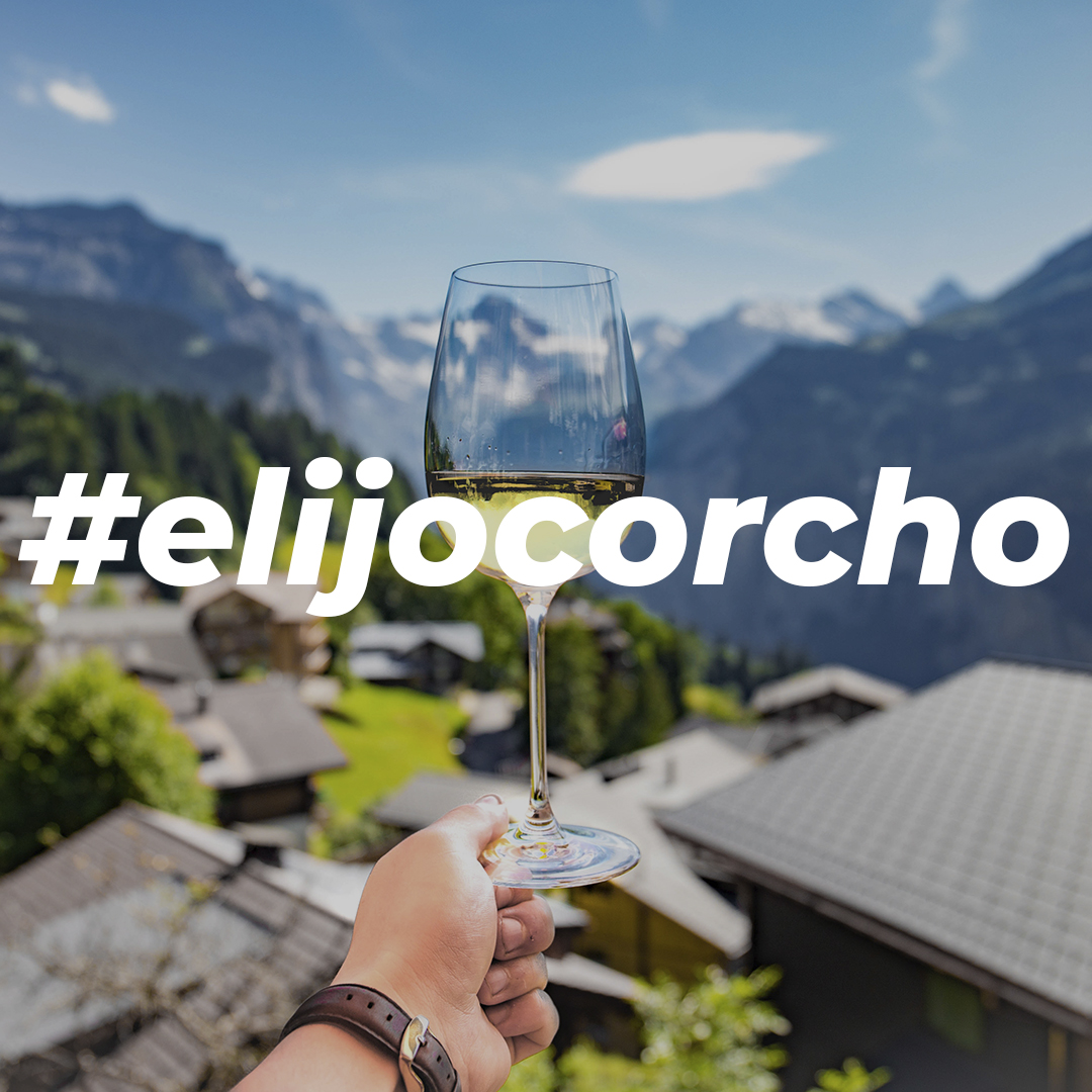 re_corcho's tweet photo. Nos unimos a la iniciativa de la @OIVE_vino proponiendo una actividad diferente para cada día. Abrir esa botella especial y disfrutar de una🍷+ brindar telemáticamente con amigos. Podéis compartir una foto del vino e impresiones sobre el mismo! #Brindoportusalud #elijocorcho https://t.co/txdQIHe7u0