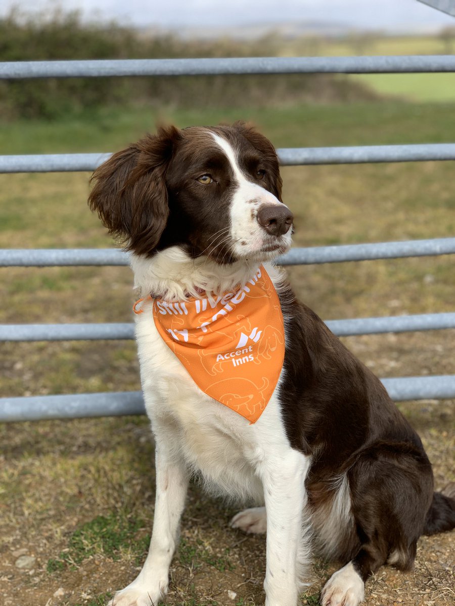 ROCWORX DESIGNS tweet media