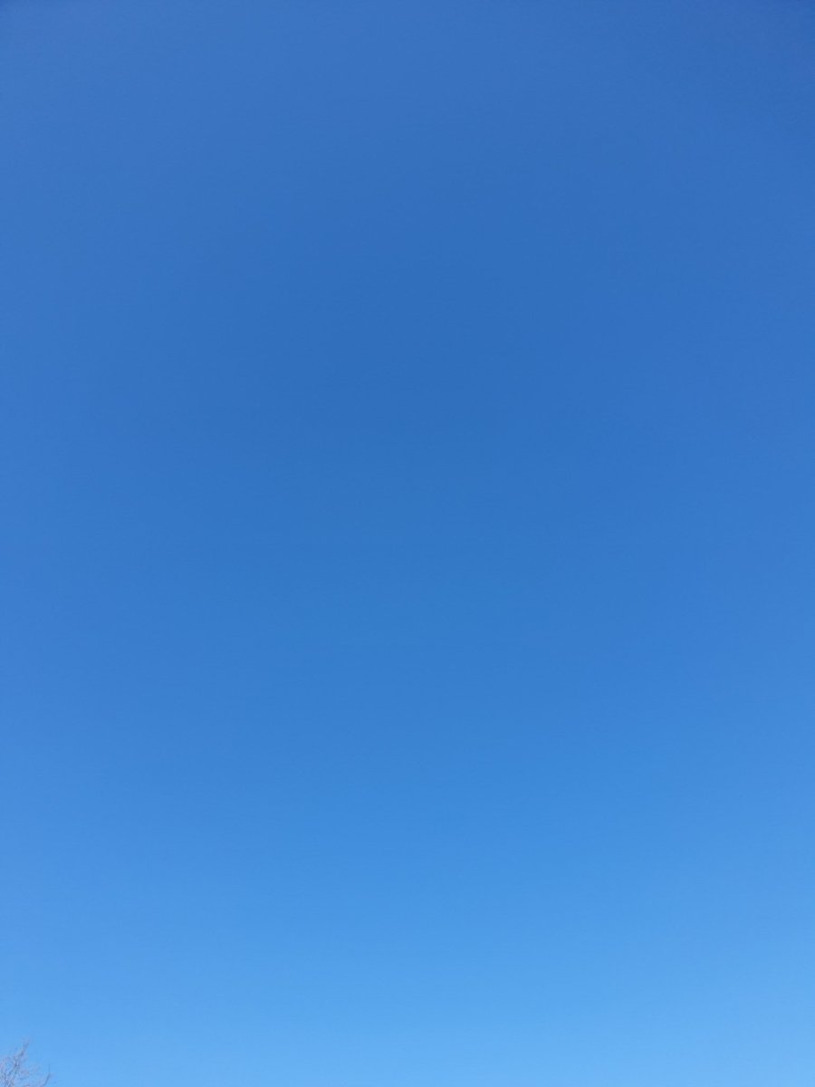 EivorEvenrud's tweet photo. Se opp!  Kanskje får vi aldri dager som dette igjen. Dager hvor himmelen er helt blå og rolig, uten flystriper i alle retninger.  #Serenity https://t.co/8ON7FVRDuK