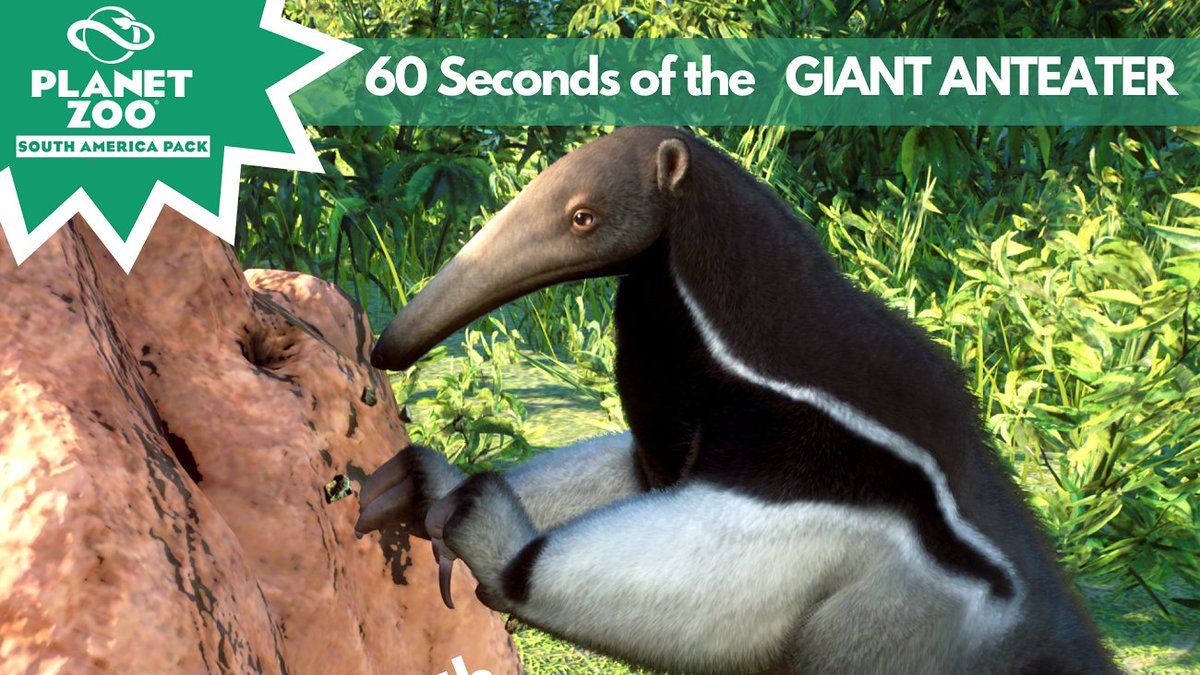 GAMESSICK1's tweet photo. WATCH: https://t.co/yBYheDslwg

I took a look at all new habitat animals! It is sooo cute how the Giant Anteater eats his insects with the long tongue! 😍 https://t.co/ViB3xFzKD8