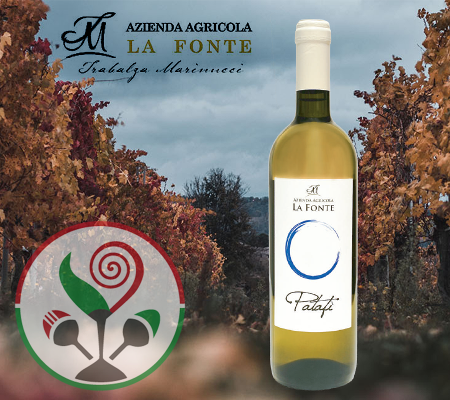 CiborEat's tweet photo. Venite su https://t.co/iQ9xqZIXI3 e scoprite non solo le nostre proposte culinarie. Potete anche acquistare grandi vini come il Bianco Umbria IGT dell'azienda.
La Fonte
.
#vino #vinobianco #CIboreat #vinobuono #prodottoitaliano  #ecommerce #compraitaliano https://t.co/UmtPn0ZFo5