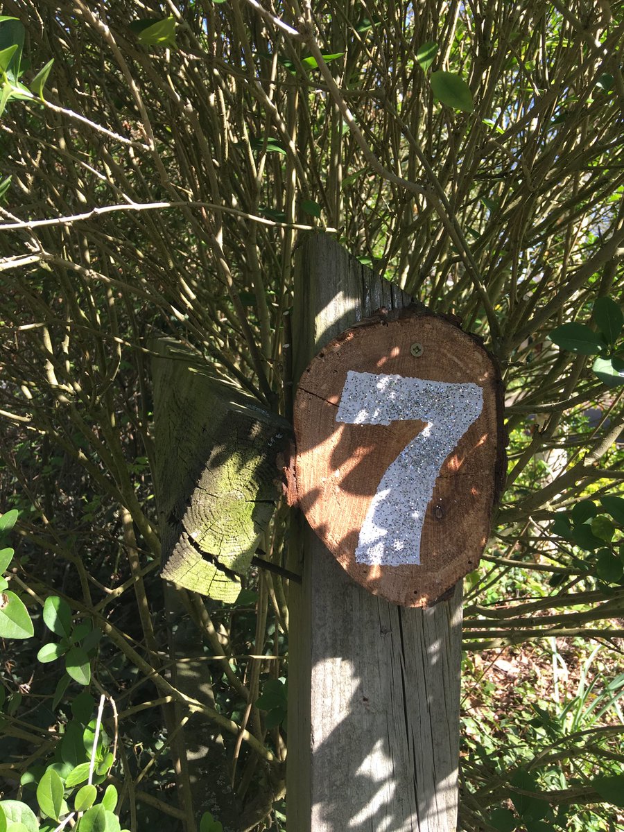 A suggestion for a practical craft project? Local delivery driver posted on our village network, that it wd help if we all check our house number is clearly displayed, as many drivers are covering unfamiliar routes - we got to work with wood offcuts, paint & glitter for hi-vis.