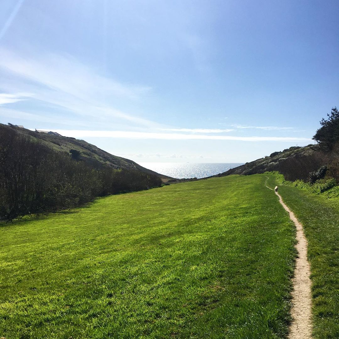 Colroger Holidays tweet media