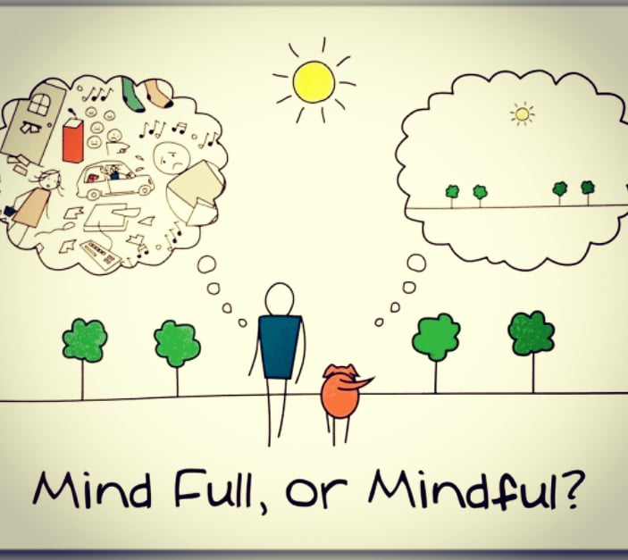 ResolveLimerick's tweet image. If you would like to try an interactive group mindfulness session online, free of charge for the month of April, please email your name to mindfulmonday@resolvecounsellingcentre.ie ❤️
#mindfulnesspractice #mentalhealthmatters #stayhome #staysafe #stayhealthy #stayconnected