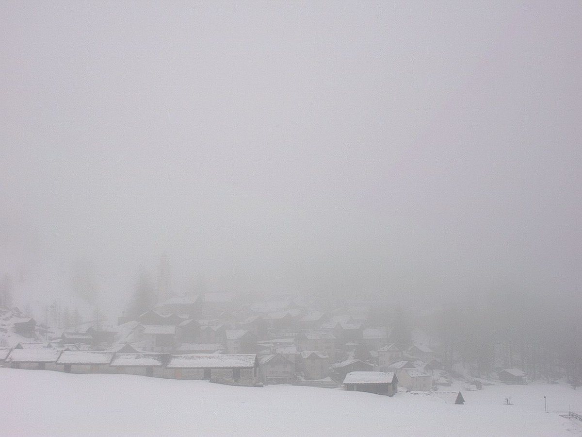 MeteoSvizzera's tweet photo. #BoscoGurin fra la nebbia e il ritorno dell' #inverno . Oggi 4cm, ieri 16cm di #nevefresca . Ma non lasciamoci tentare, #StayAtHome https://t.co/h5j8NC2iNS