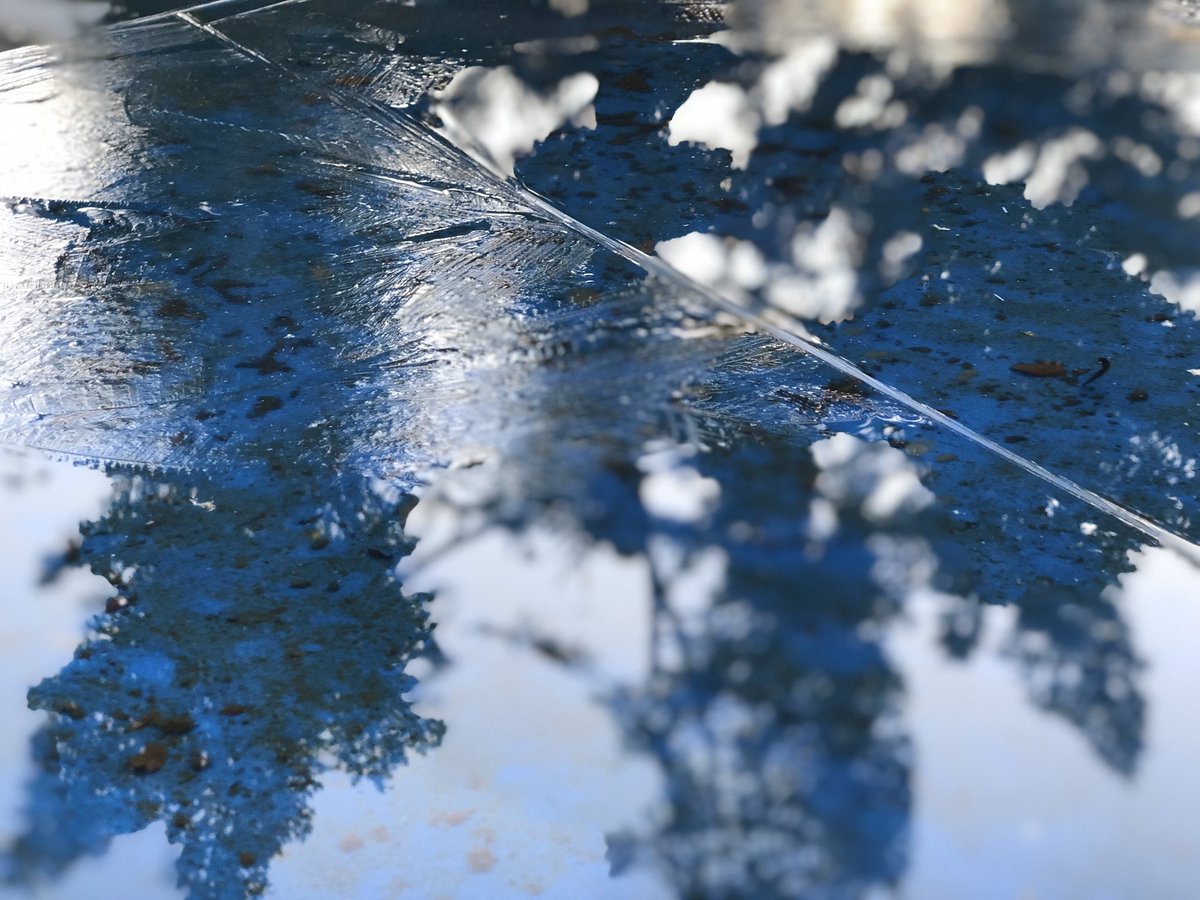 SBrennisteinn's tweet image. Le printemps n’a pas encore chassé l’hiver #iPhoneX #Apple #wintervsspring #photooftheday #happy #ice #mirror #xmastree #watercolor #water #Blue #cold