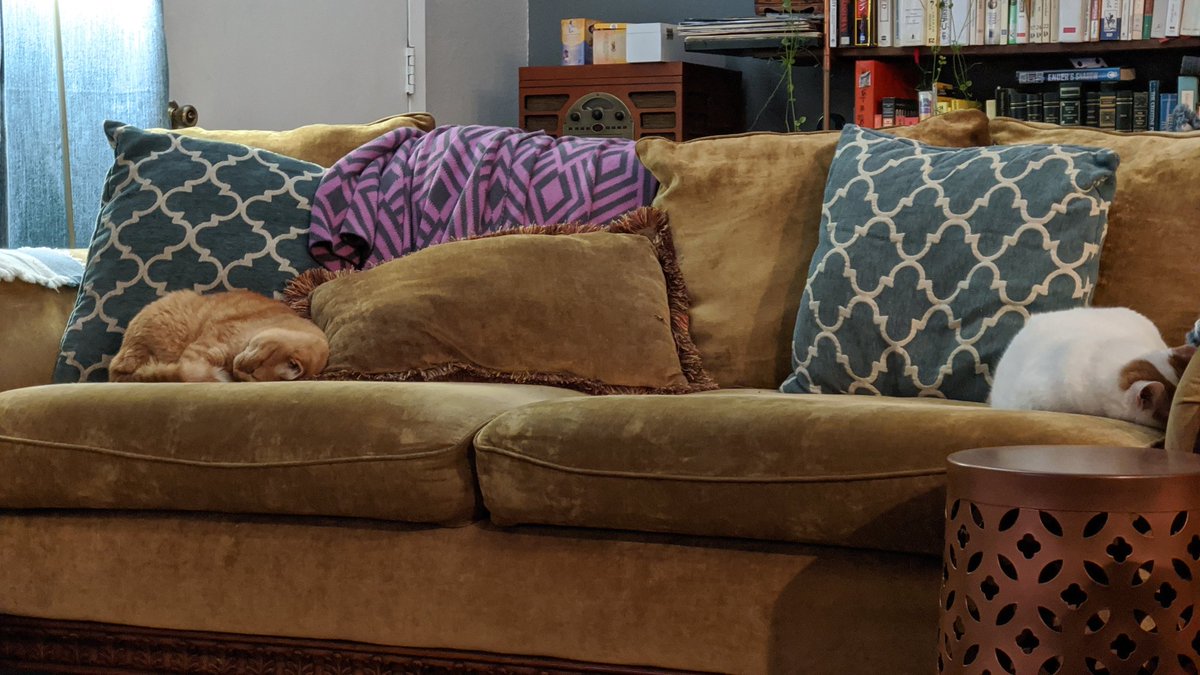 Kevin C. Kumpf tweet media