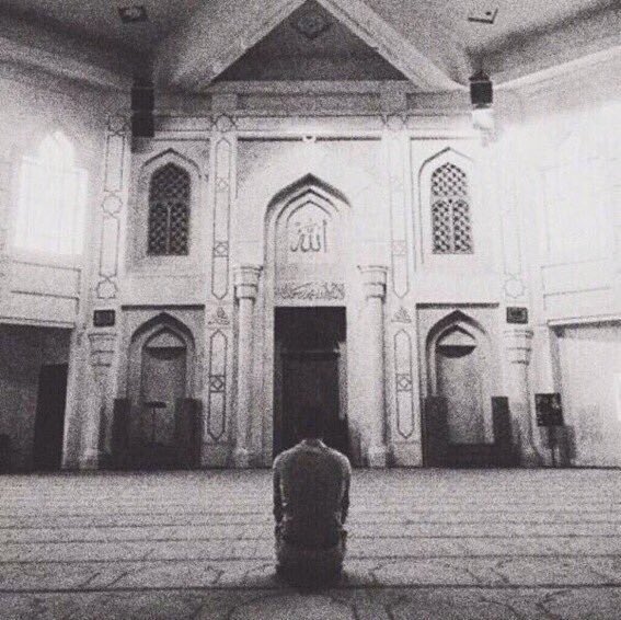 𝐴𝐿𝐵𝐴𝑅𝑄𝐼𓅂 tweet media