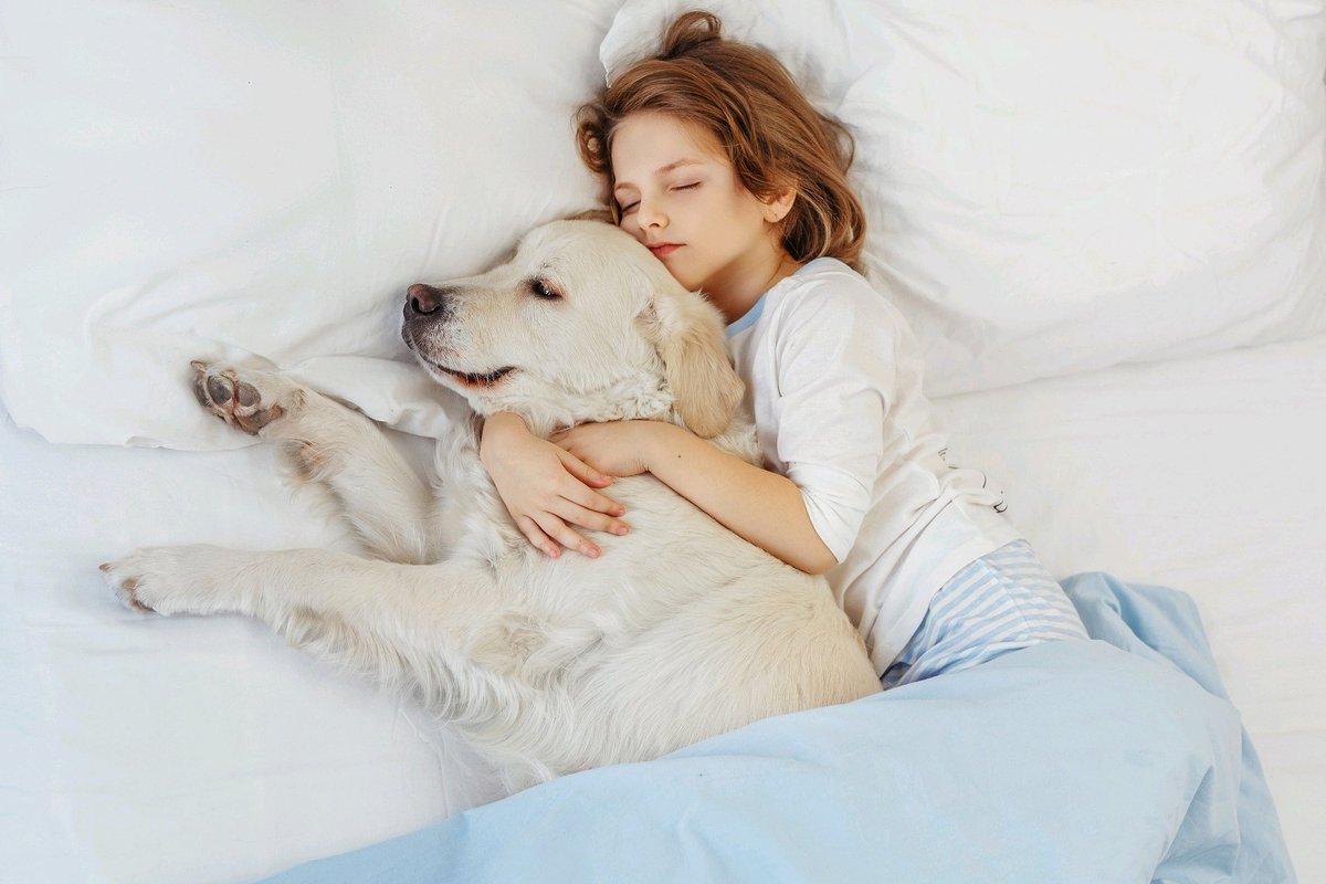 pure_down's tweet photo. Have a good night!⠀
#dog #Puredown #sleeponit #sleep #pet #love #sunday https://t.co/KHZNis6TbI