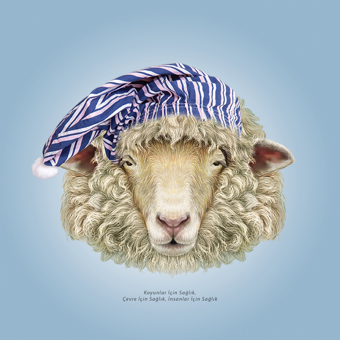 innovabedding's tweet photo. AĞRILARINIZI ÖNLEMEK İÇİN YÜN YATAK🐑 KULLANIN🗣️
https://t.co/7tRj9ZRcIy
#innovabedding #matelas #bett #organicwool #dutchwool #mattresses #comfort #sleeping #nightsleep #bed #yün #organikyün #merinosyün #merinos #organiccotton #naturalfibre #naturalmattress
@ONDERHONI https://t.co/gwm6Wq4Mwj