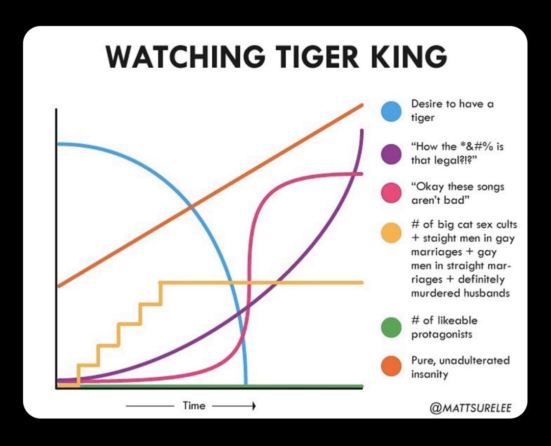 Tiger King Review A Show About How The Internet Eats Us All The