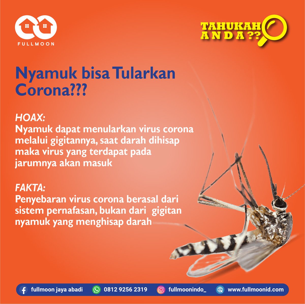 fullmoonindo's tweet photo. Ayo selalu ingat untuk terus #bijakbersosmed dan selalu cek kebenaran mengenai informasi sebelum mengonsumsi atau share ke orang lain supaya tidak menimbulkan kepanikan.
.
#fullmoonapps #fullmoonjayaabadi #b2becommerce #b2bcommerce #b2bplatform #stophoax #hoax #coronavirus https://t.co/CebtrlZpBt