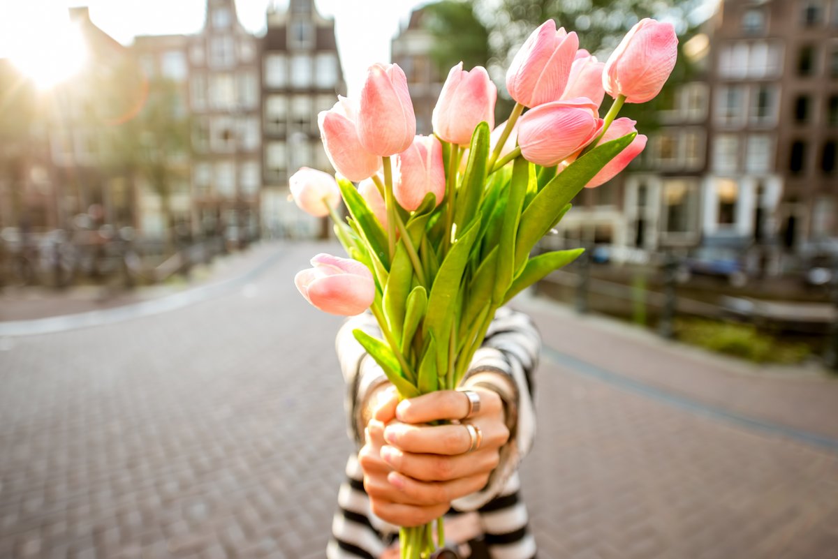 Tulp Hypotheken had zich dit voorjaar echt anders voorgesteld.
Succes en sterkte voor iedereen.
Hierbij een bosje tulpen voor jou...