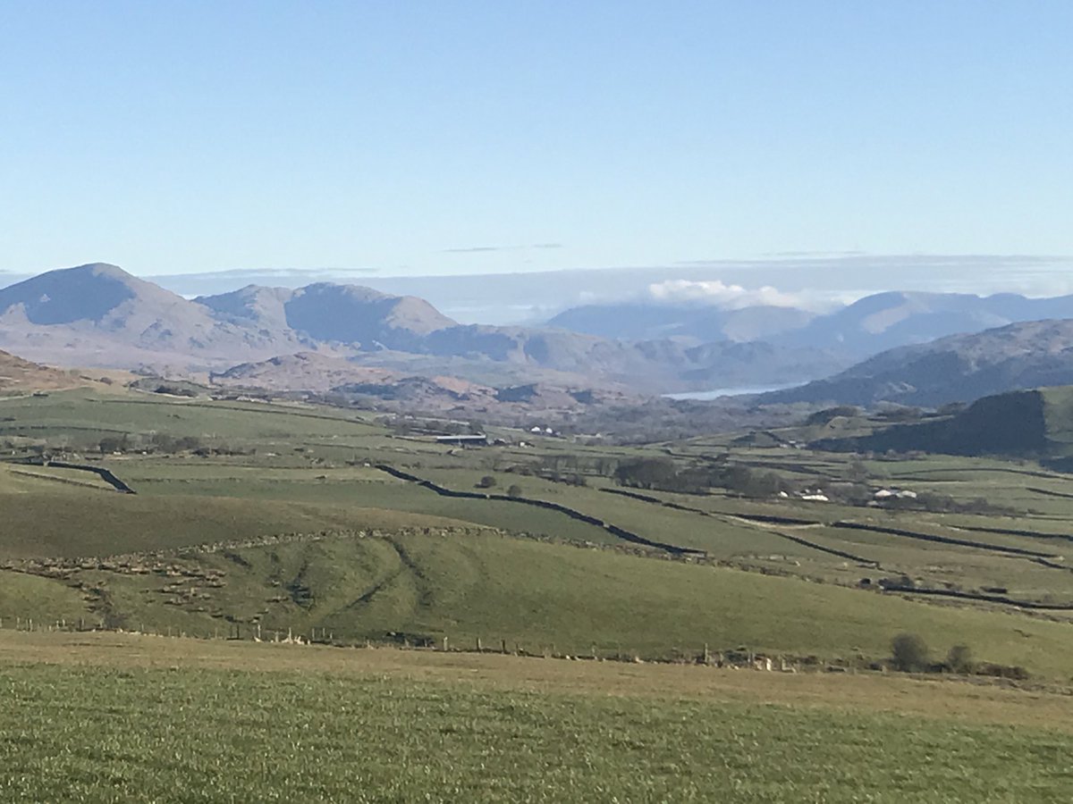 Mole Trappers view this morning
