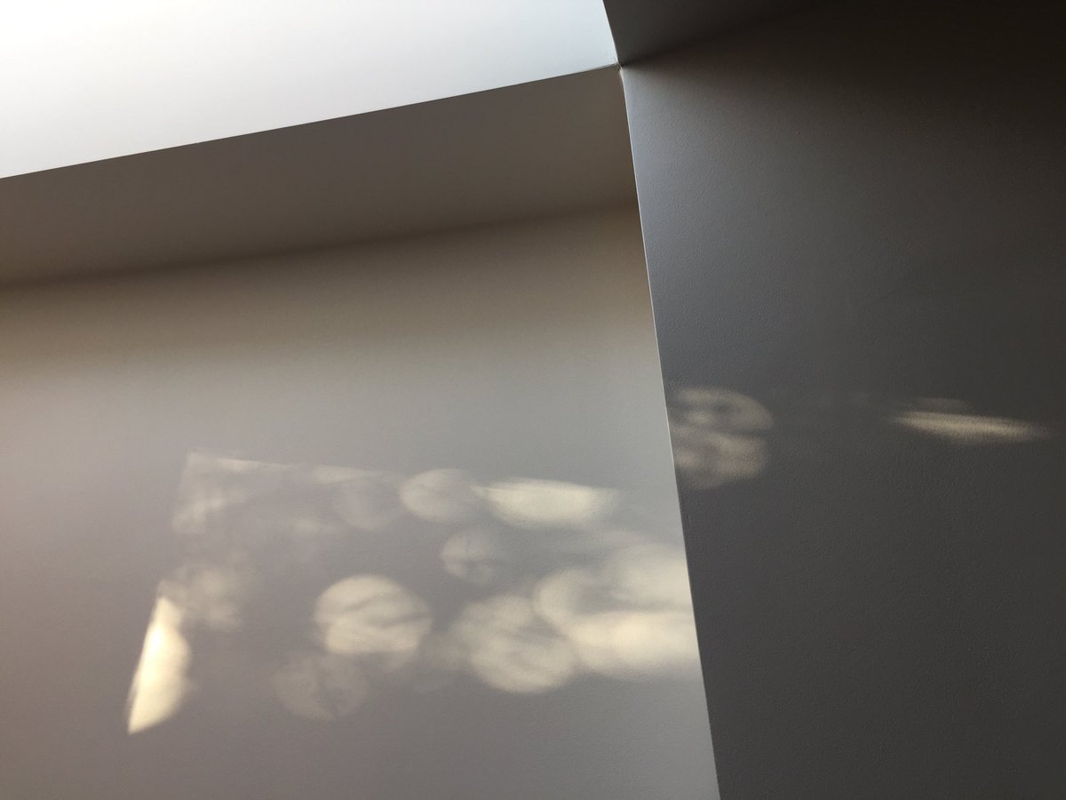 I’ve developed a love for mornings after years of working late into the night; mornings are even more vivid in the time of Coronavirus #WFH #spring #light #observations #photooftheday