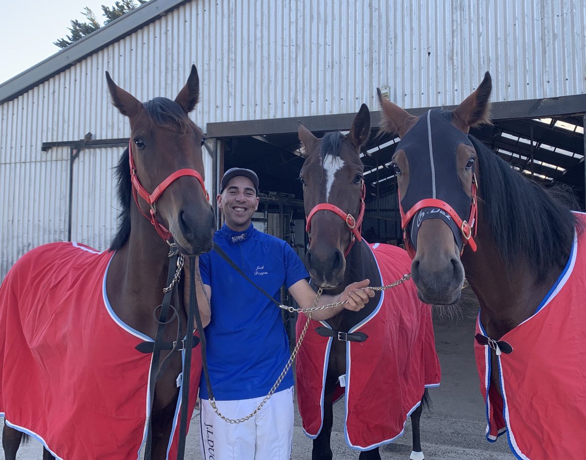 alisonalford08's tweet photo. 398 goes later 📸🤯... we get something that resembles a family photo for The Murphy’s who own all 3 of these boys in tonight!! I hope dreamee hasn’t read twitter - he may not handle the pressure 😝 but for me... I’ll be cheering with my heart #gopatch https://t.co/XS76pSo3DY