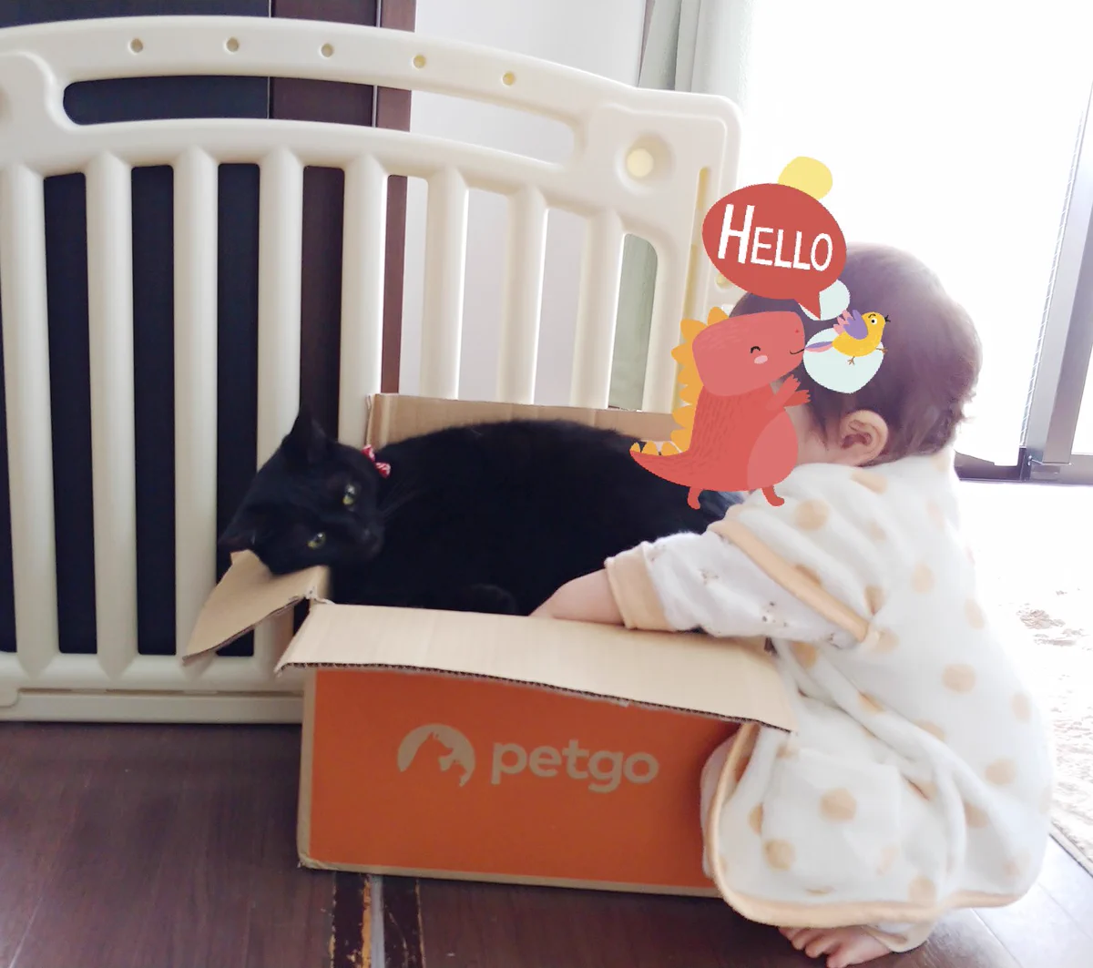 追いかけてくる赤ちゃんに対するねこの対応がかわいすぎる！！