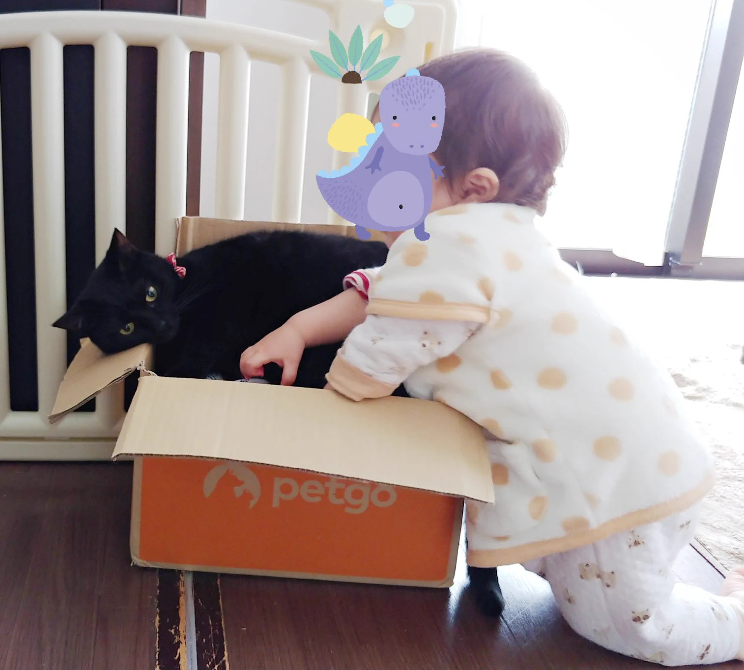 追いかけてくる赤ちゃんに対するねこの対応がかわいすぎる！！