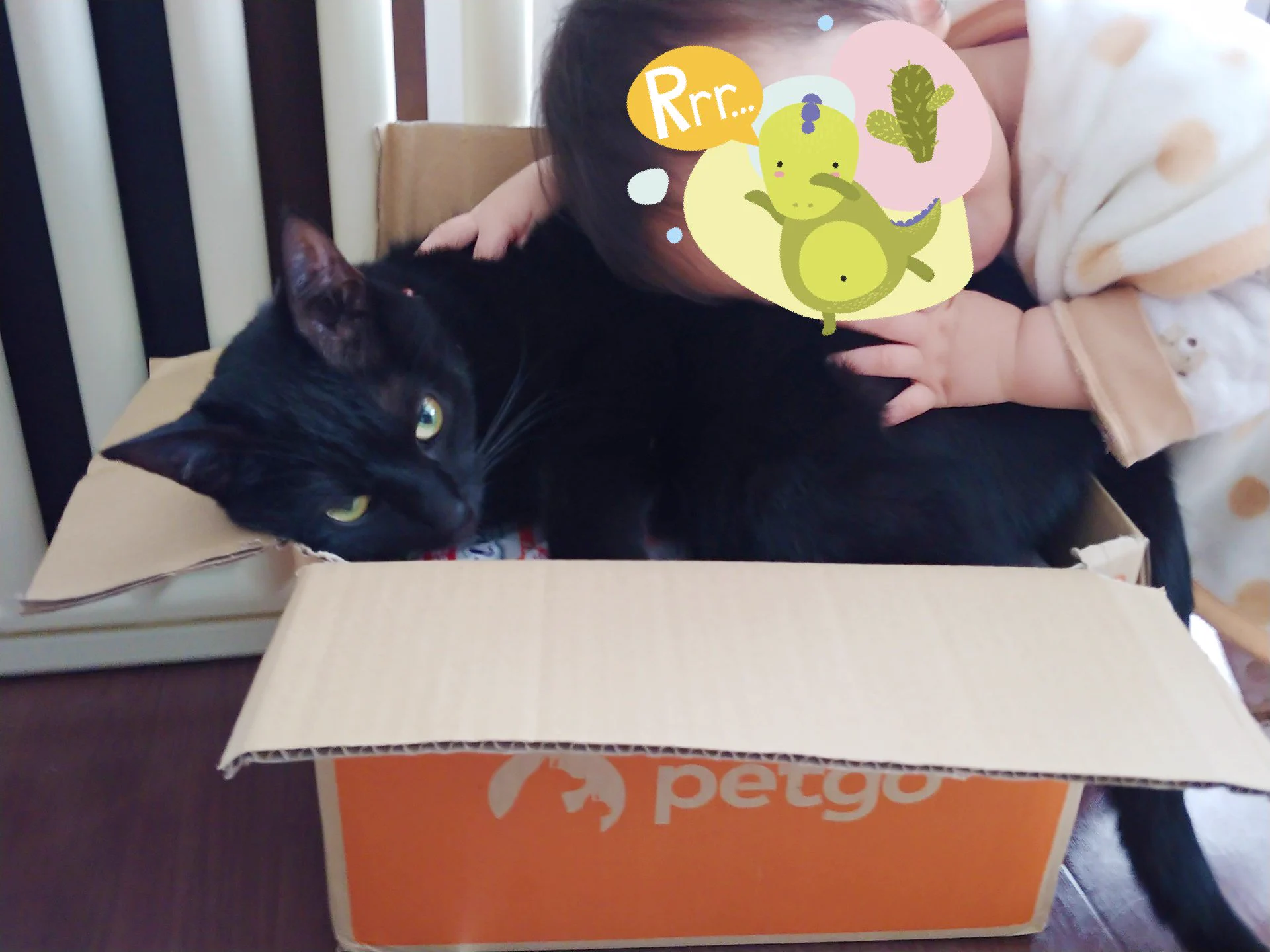 追いかけてくる赤ちゃんに対するねこの対応がかわいすぎる！！