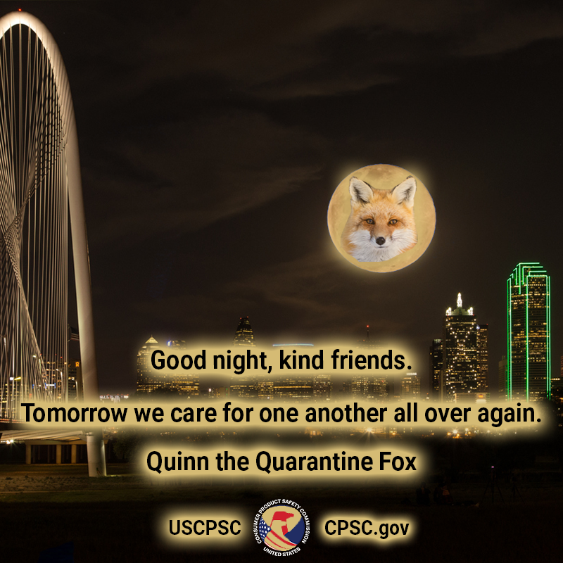 A fox in the moon over dallas. The text reads: Good night, kind friends. Tomorrow we care for one another all over again. Quinn the Quarantine Fox.