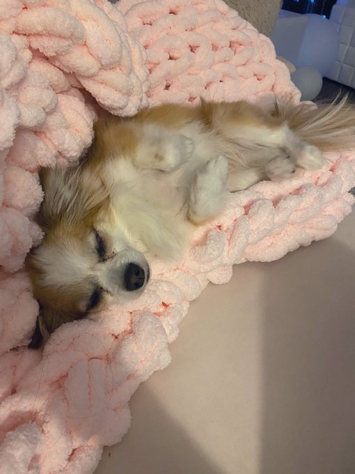 Watch elise laurenne's leaked NSFW photo on TwXstars