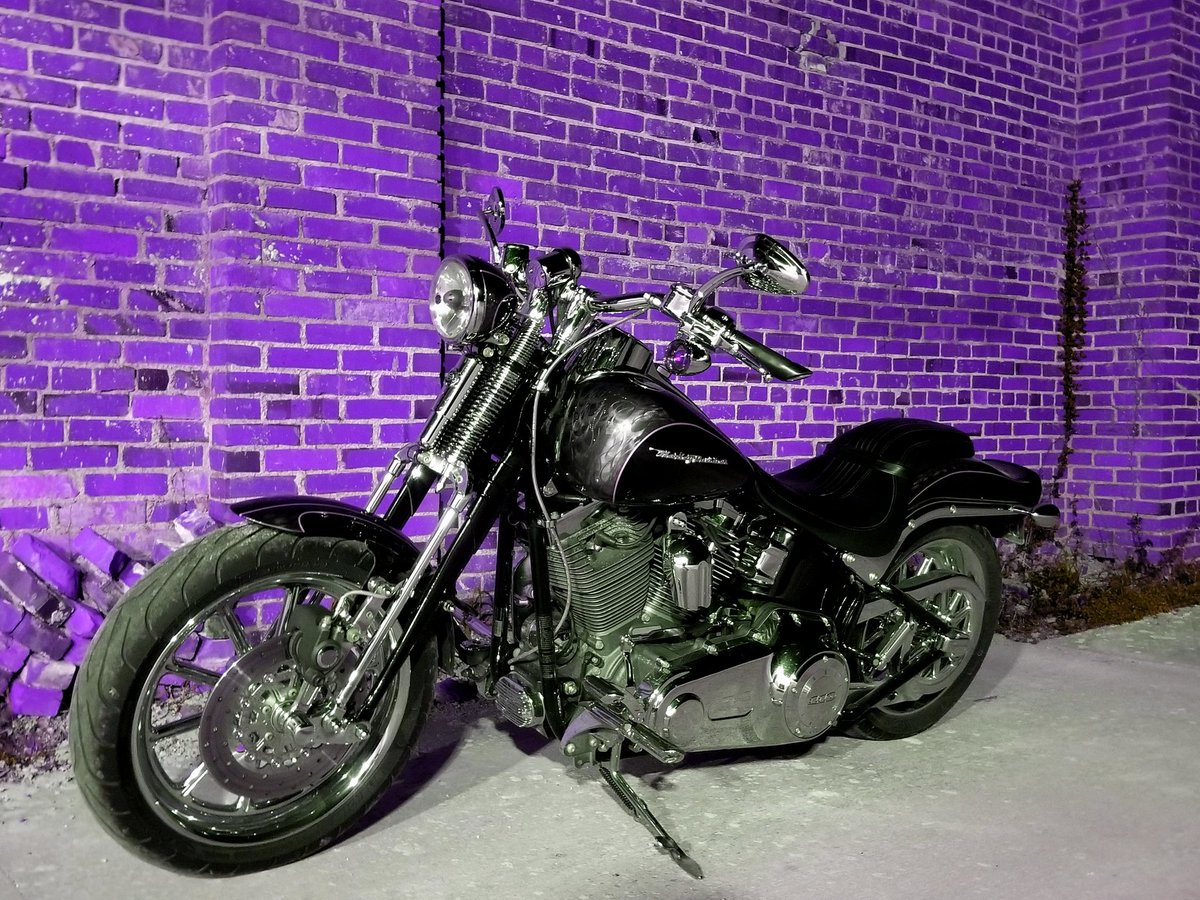HawesDane's tweet photo. Bizzaro World #harleydavidson #quarantinemachine https://t.co/s7BgVIKDMj