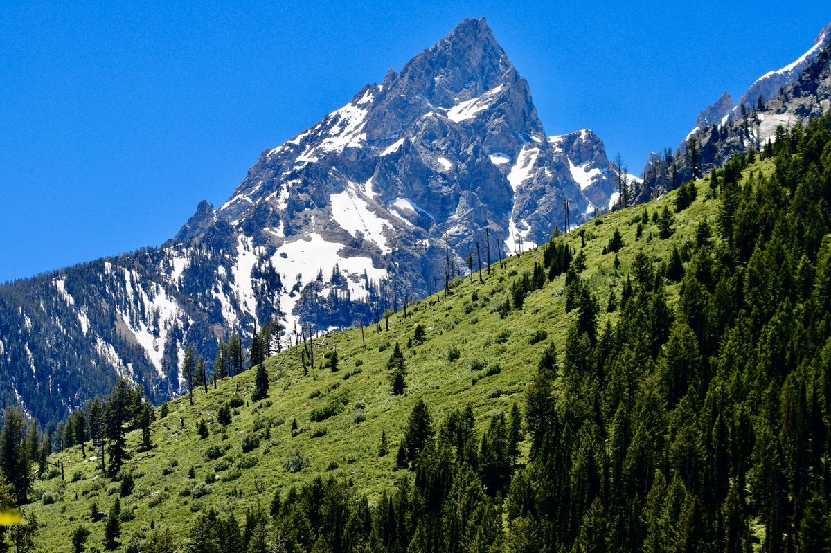 drjessica17's tweet photo. Climb the mountain not to plant your flag, but to embrace the challenge, enjoy the air, and behold the view 💚 ~ David McCullough Jr.

📷 taken by me at Grand Teton National Park 🏔 https://t.co/OZjTMExsdg