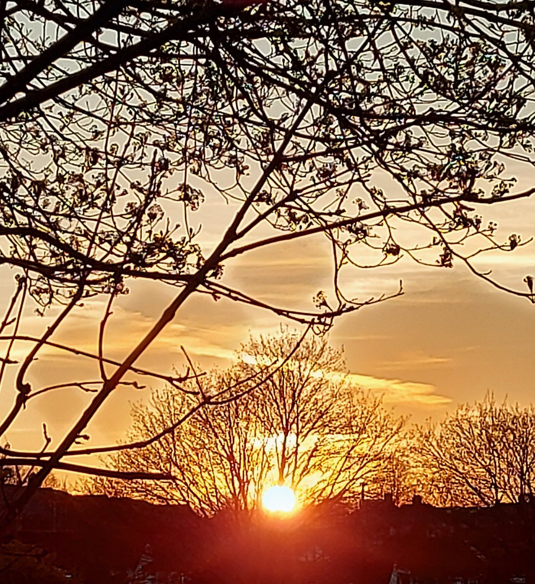 J_Bella_S's tweet photo. "Whosoever is delighted in solitude is either a wild beast or a god."
#Aristotle #TheLockdown #myphoto #myjoy #ToShareWithYouAll https://t.co/7HqJA1oEqX