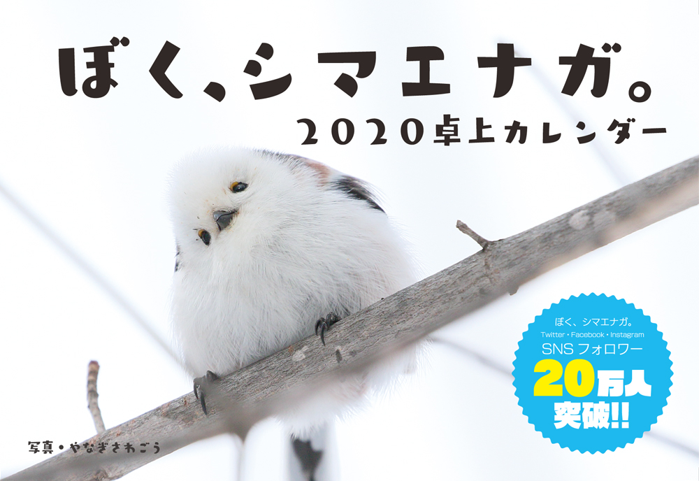 ぼく シマエナガ ぼく シマエナガ 2020卓上カレンダーたくさんのご注文ありがとうございました アリガトウ 本日で販売しゅーりょーとなります 2021も作る予定だよ おたのしみにぃいい T Co Daailt4tx0 T Co ぼく シマエナガ ぼく シマエナガ 2020卓上カレンダーたくさんのご注文ありがとうございました アリガトウ 本日で販売しゅーりょーとなります 2021も作る予定だよ おたのしみにぃいい T Co Daailt4tx0 T Co