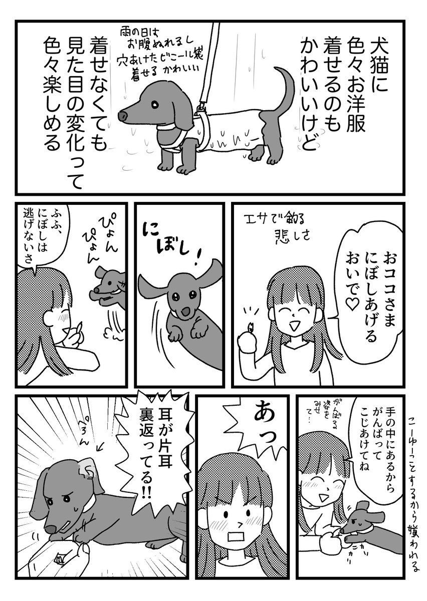 犬的ヘア?アレンジの話 
おまけはブログに→ https://t.co/2FbARAfuaR
犬をみておいでですか 