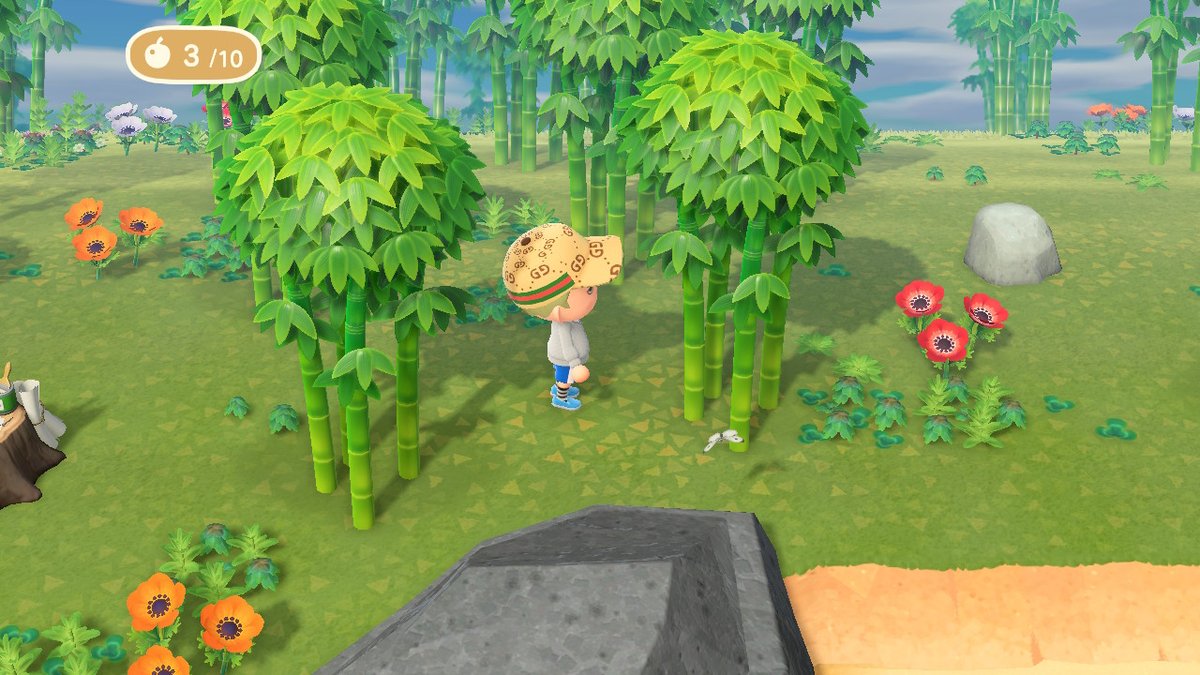Minsub_Kim's tweet photo. #동물의숲 #AnimalCrossing #ACNH #NintendoSwitch https://t.co/8rU3cQNdcB