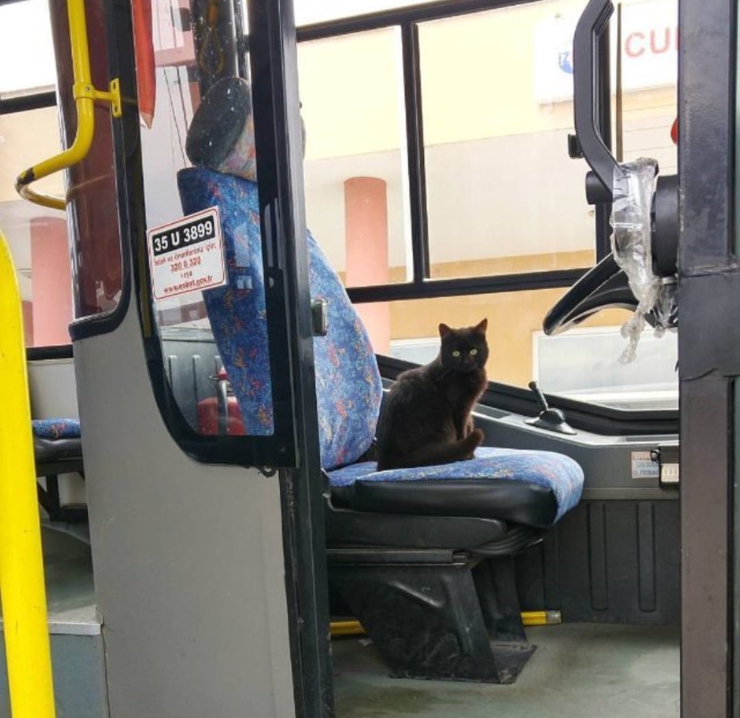 pienar's tweet photo. have a                               Thank you
nice day.                           bus driver https://t.co/EQLPjGLxCN