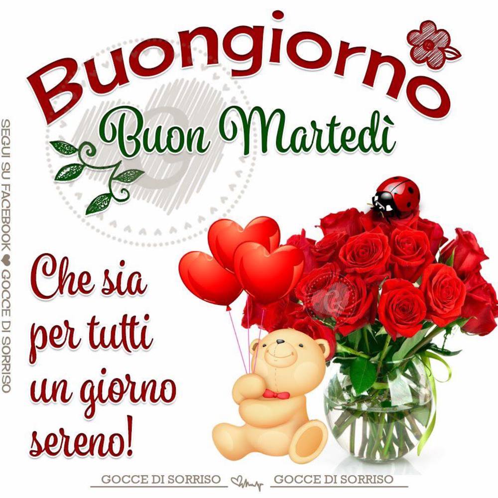 Buongiorno e buon martedì a tutti 🤗🍪🌹👍🏵️🌼🤞🌺💙😘🍹🐧😀😍💮💮