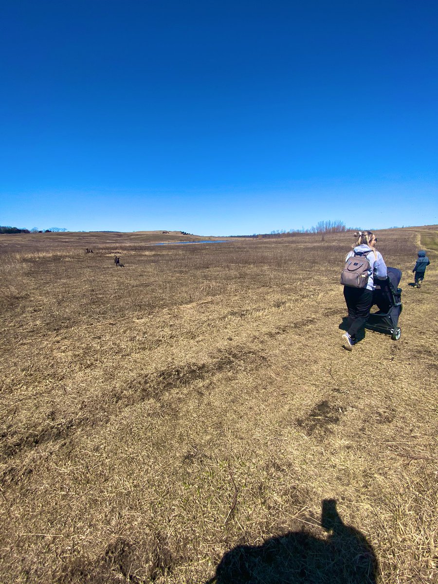 CaleyJohnson77's tweet photo. #SpiritWeek #CharlesCityExperience   Spent Move it Monday walking the trails at The Fossil and Prairie center in Rockford with my Family! ❤️ https://t.co/zIE3ywgwpM