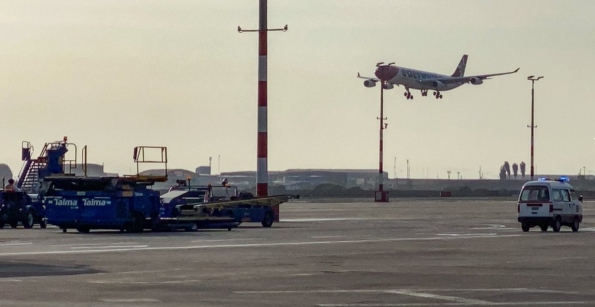 Marjaggi's tweet photo. Nuestra @flyedelweiss🇨🇭aterrizó esta tarde con unos 30 ciudadanos del 🇵🇪 en @AeropuertoLima. Mañana 31.03. será el #FlyingHome de otros 300 suizos+europeos varados por #Coronavirus. Muchas gracias @presidenciaperu @CancilleriaPeru @indeciperu @SwissMFA @SwissHumAidUnit @EDA_DFAE! https://t.co/8IJOKDQ544