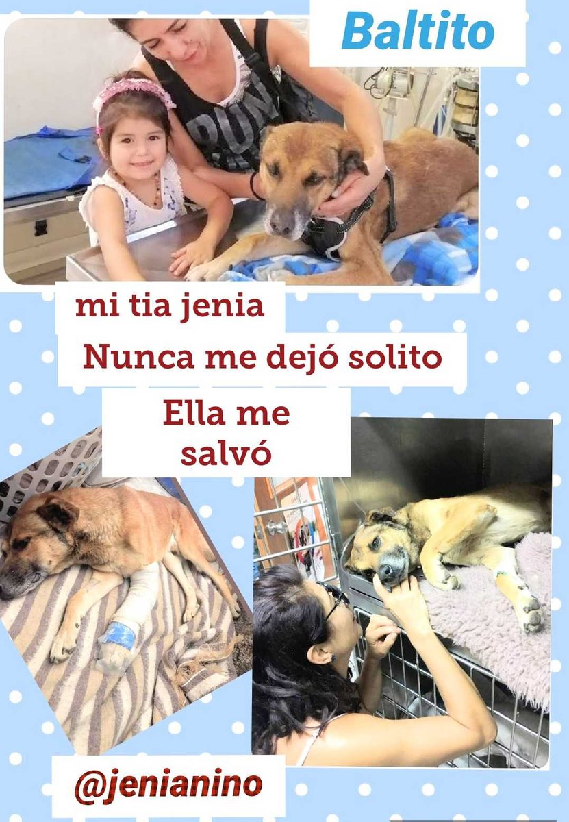 loreto1110's tweet photo. Tios #SoyBaltito #QuieroUnaFamilia #MeAdoptas? mi tia @jenianino me cuida, si me quieres habla con ella🙏🐾❤️ @Porfidora @madi_tol @ZitaTarot @kattykowaleczko @TonkaTP @CarolinaDiAz_ @MADMAXTHUNDER3 @XimenaAG70 @EAlbasetti @jananeme @Silvian2018 #Rt 🙏🐾🙏🐾 https://t.co/Sh47s6FNFA