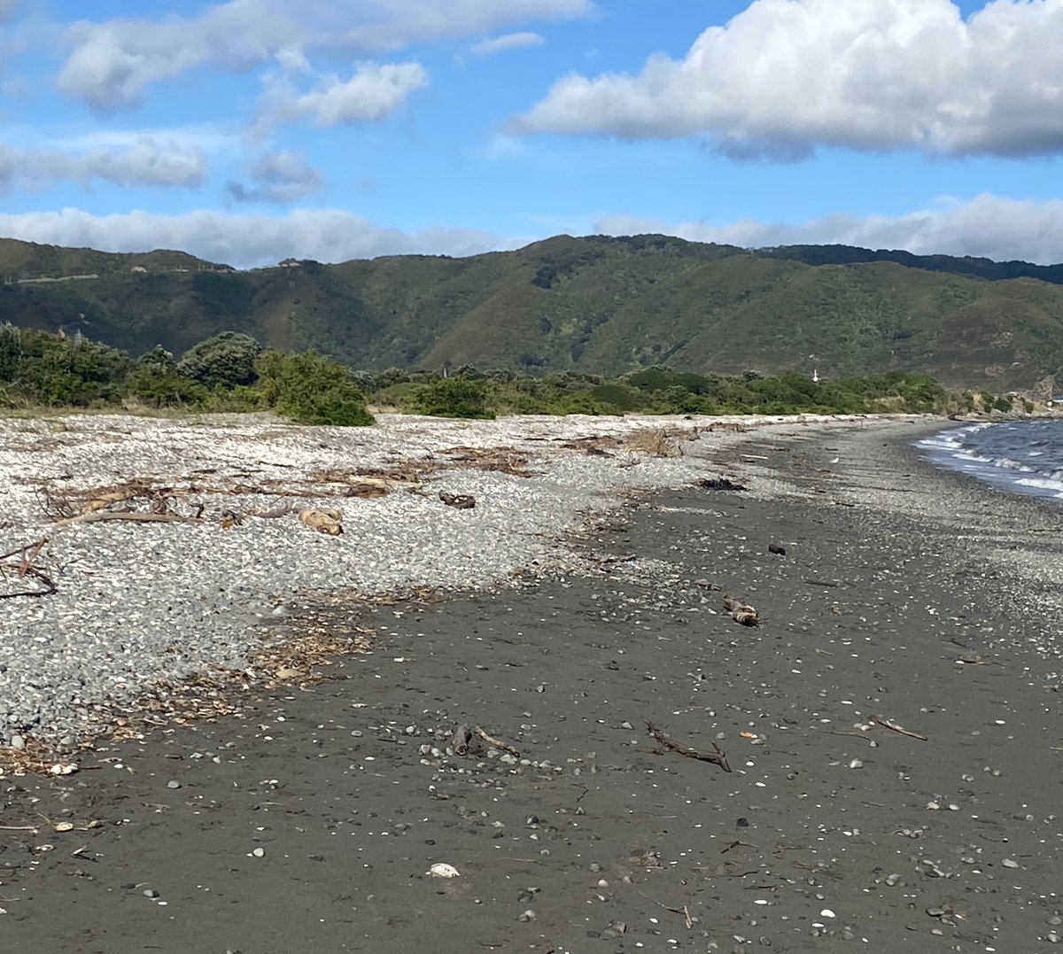 History on my doorstep (well, in the ‘hood)... 20 October 1842 Wellington’s 1st formal race meeting happened here on Petone beach. Maybe we could revisit the idea as part of the racing revamp #afterTheLockdown Race manager might need to up his game!