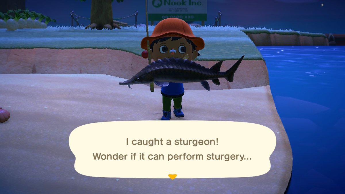 After 5 soft resets of 1 stack of bait I caught a Sturgeon! Also look at Sandy working out in the middle of the night AGAIN LOL