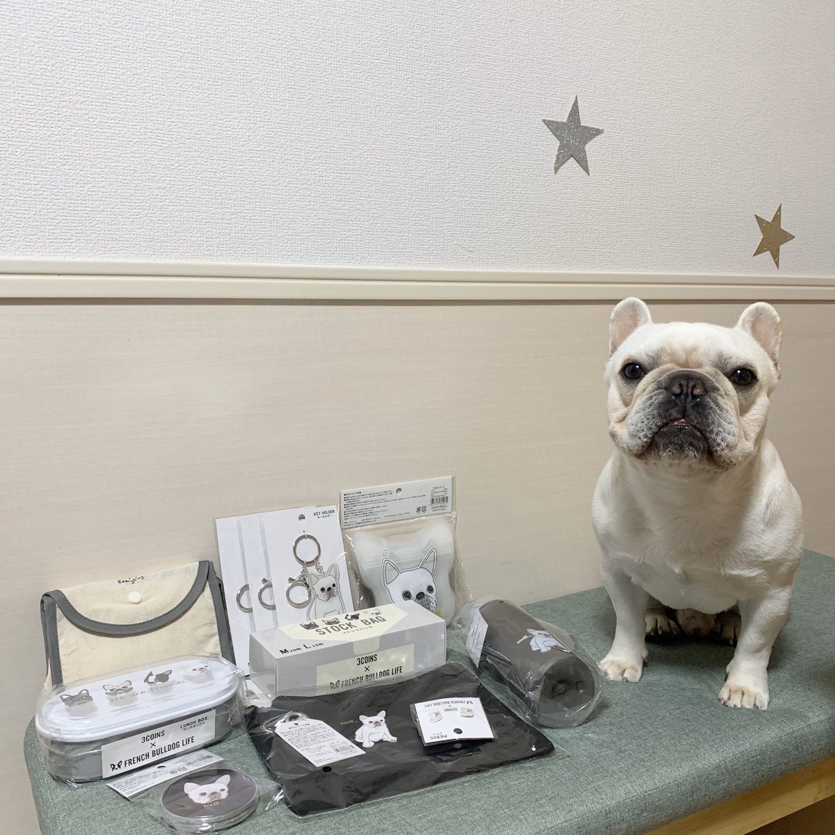 daifukukun317's tweet image. 今日発売のフレンチブルドッグ とのコラボ商品🌟
スリコに行ってきました〜！！

キーホルダー早速つけてみよ♪

#フレンチブルドッグライフ
#3COINS