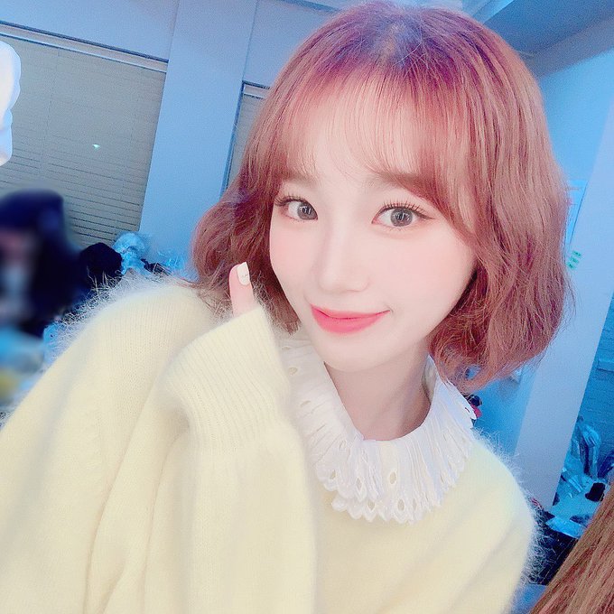 chaewonah tweet picture