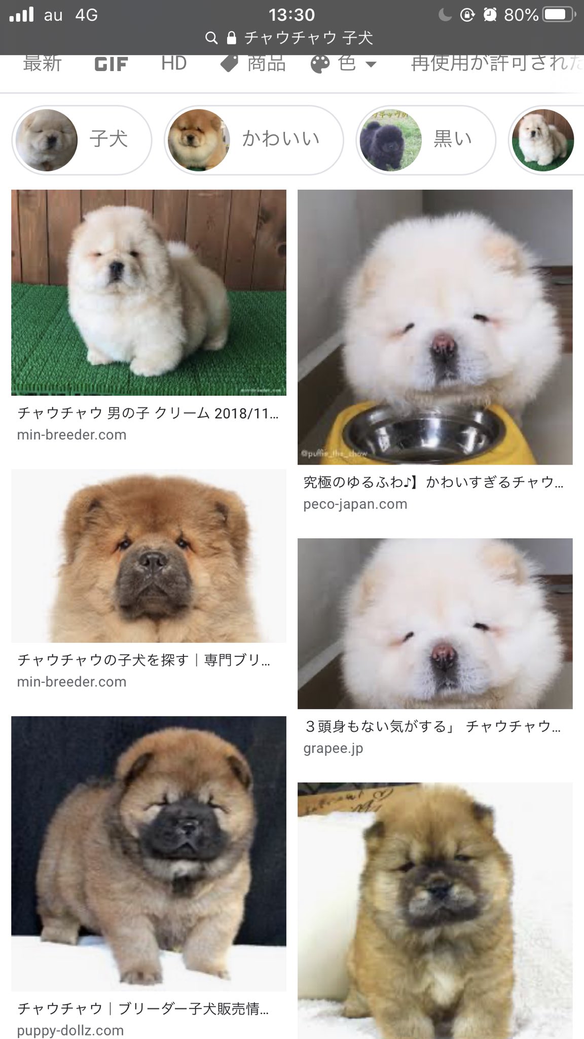 טוויטר Rei 低浮上 בטוויטר 昨日からチャウチャウの子犬に心ときめいてる T Co Pfs3wki6f2