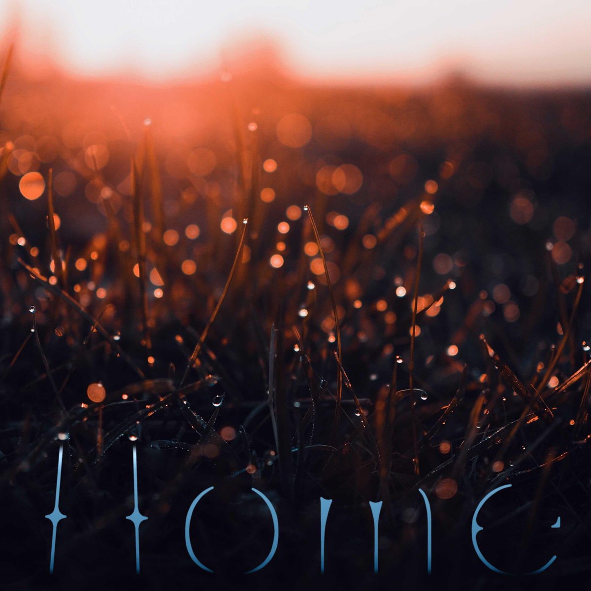 I just posted my <a href="/Patreon/">Patreon</a> March song. It’s from an upcoming project “songs for sleep”. If you’d like to join us and support my work starting at $1/month, no better time than now :) patreon.com/elizaveta