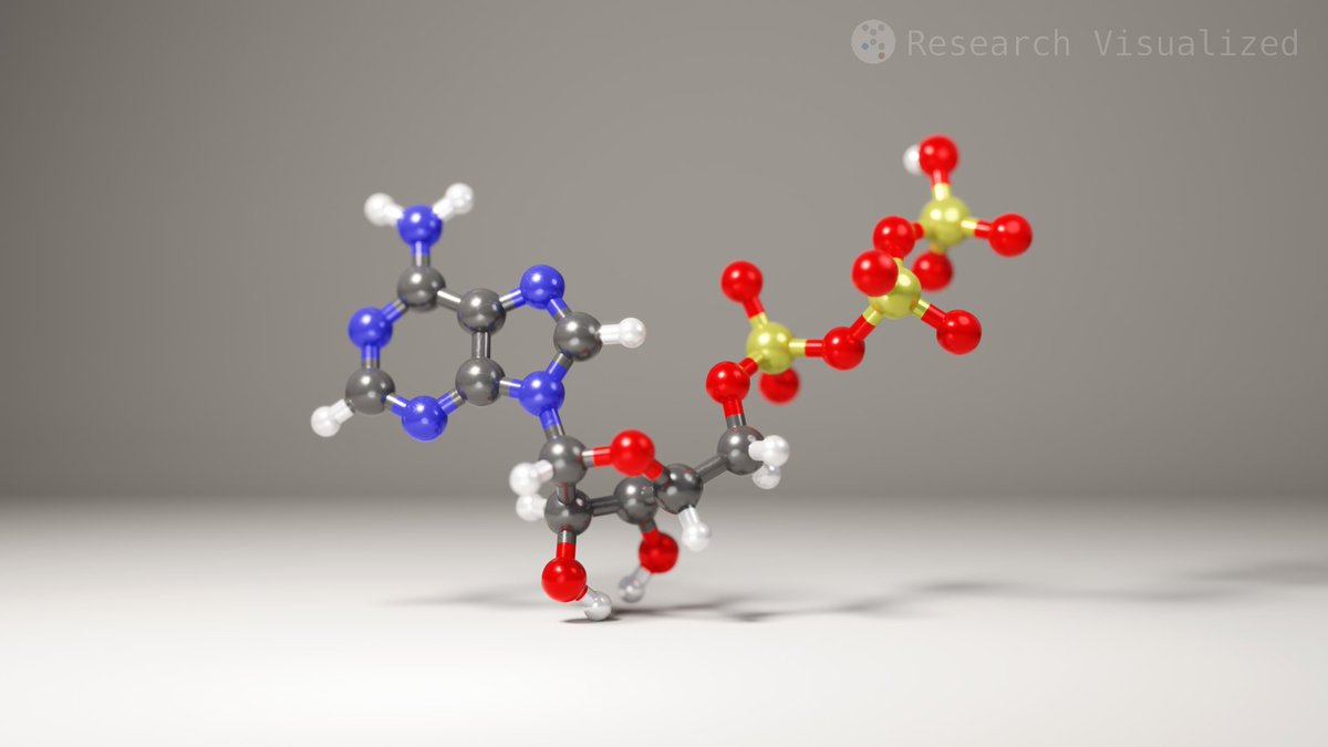 RVisualized's tweet image. Need a little energy? Here is one molecule of ATP. You're welcome. #Biochemistry #Biology #b3d #SciArt