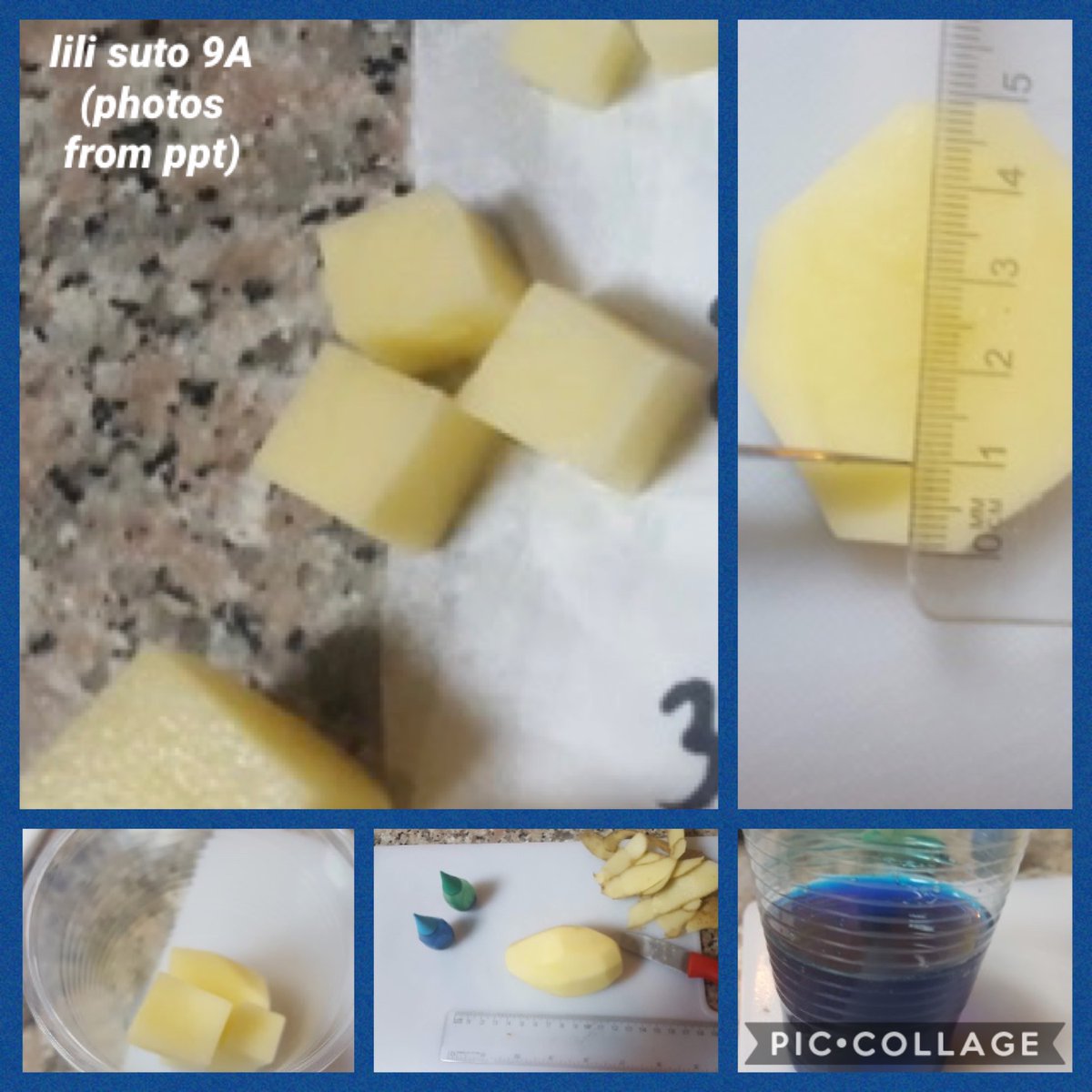 Science | Raffles World academy tweet media