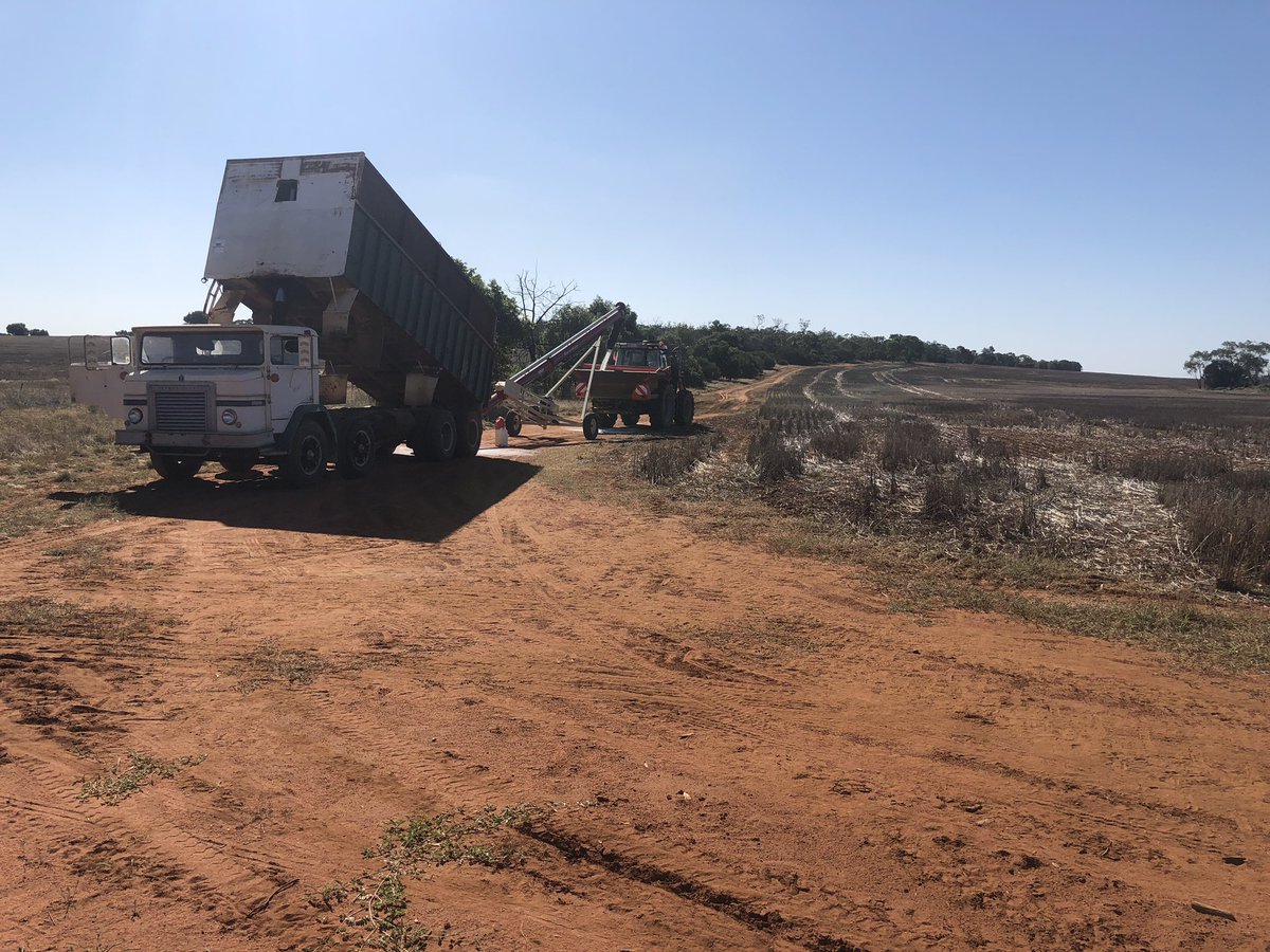 Barry Haskins tweet media