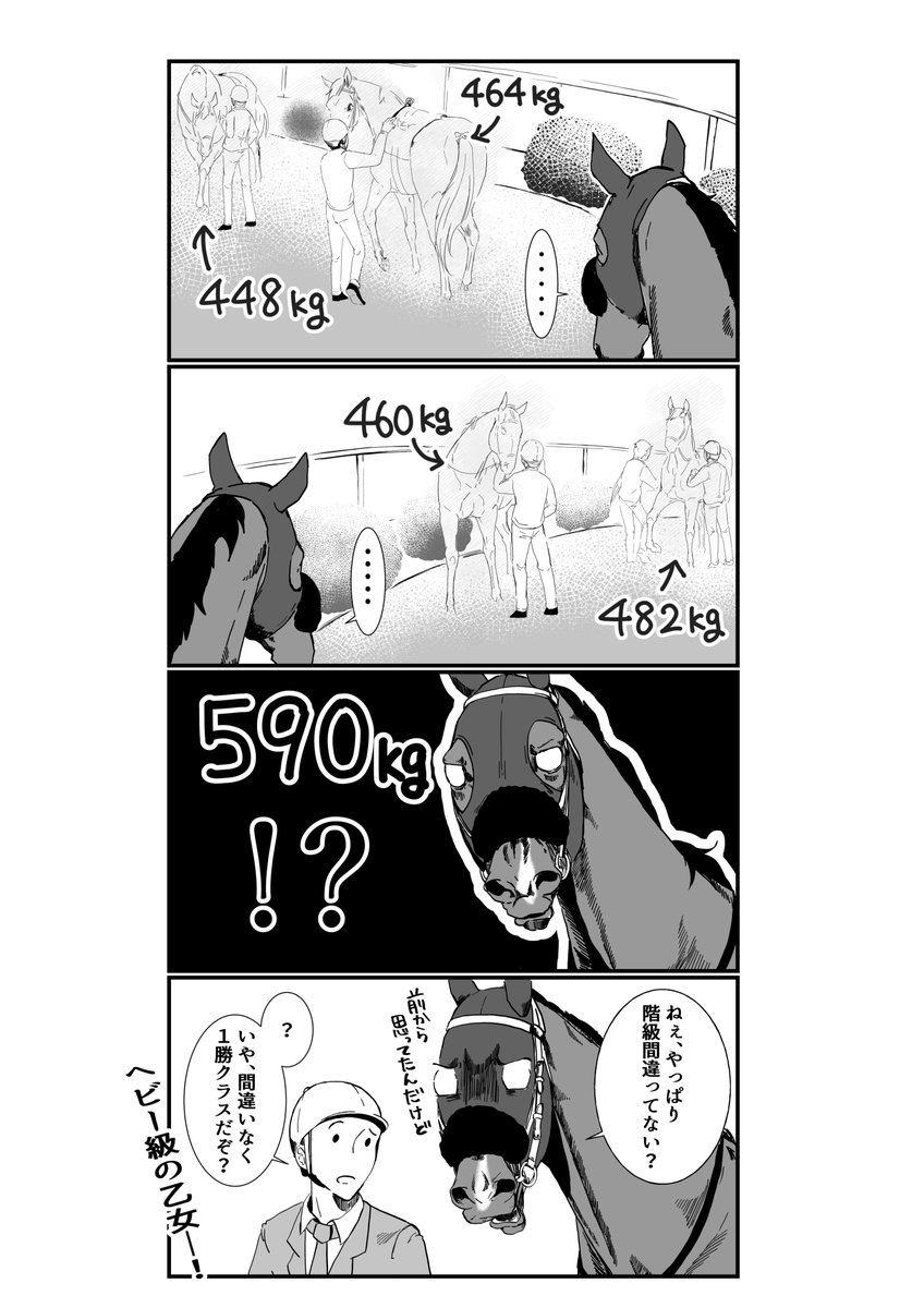 中山9Rミモザ賞に出走するミュアウッズがとてもとても可愛いのです 