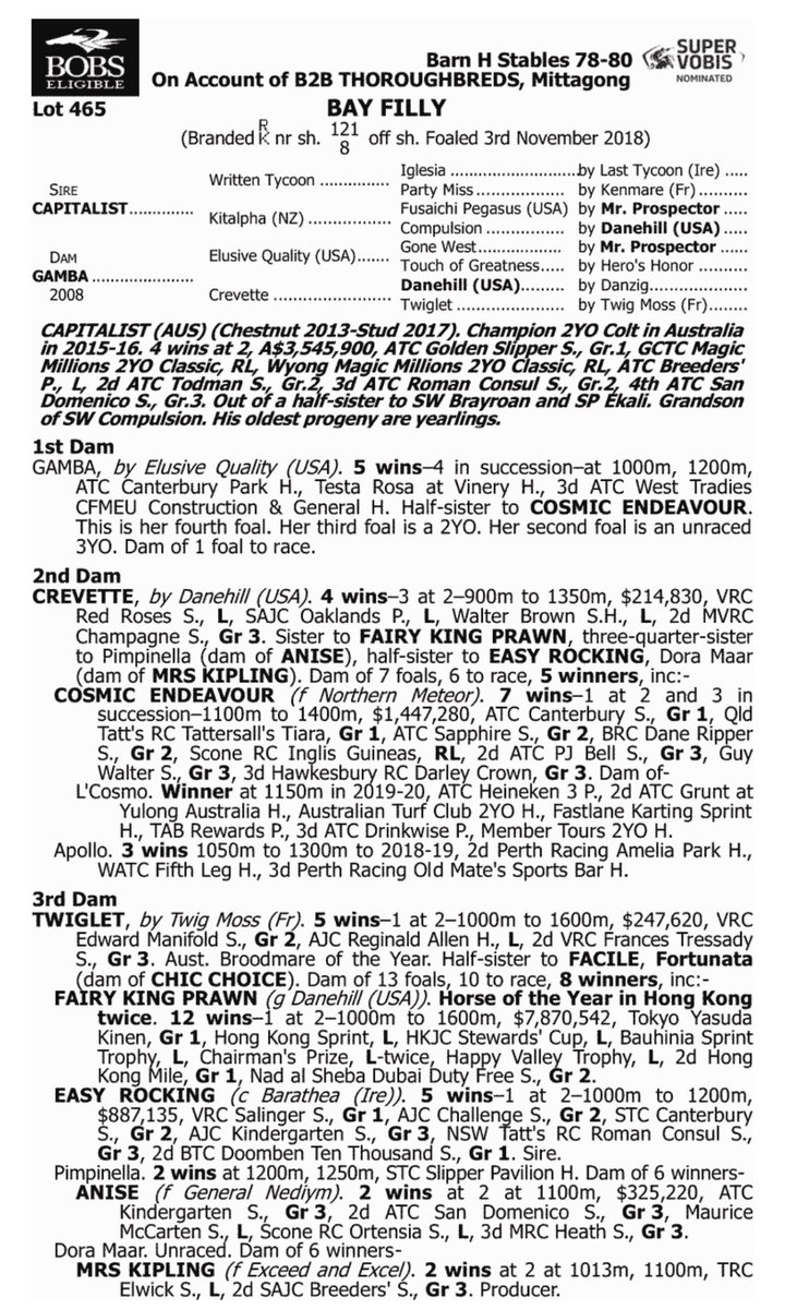 bruceaslade's tweet photo. 📞Easter @inglis_sales Lots by
@NewgateFarm Sires 

🗣@B2BThoroughbred She has huge hind-quarters &amp; looks fast💨 Fillies from this family are normally hard to get your hands on. We bought Gamba carrying this filly &amp; we will have to meet a revised market

🎥https://t.co/d3QdXnFDk8 https://t.co/fCKLAhm5QA